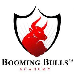 Booming-Bull-a-min logo